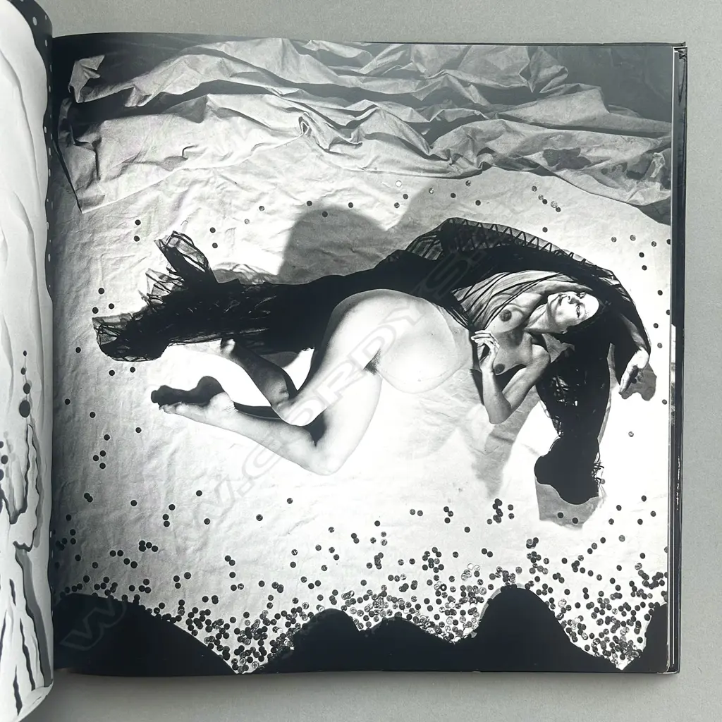 STEVEN ARNOLD: EXOTIC TABLEAUX Image 1++